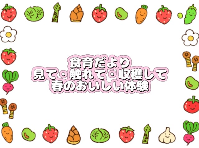 食育だより　春のおいしい体験