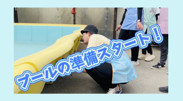 プール開き間近！プールの組み立て完了