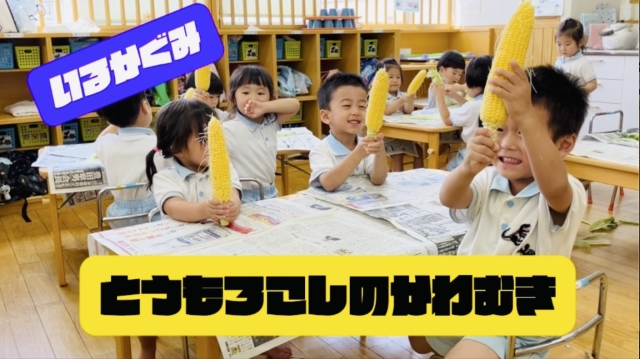 ３歳児いるか組「とうもろこしの皮むき」